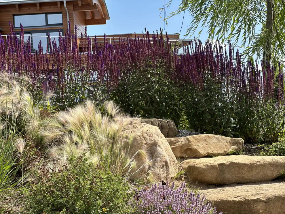 «НА ЗАПОВЕДНЫХ БЕРЕГАХ»