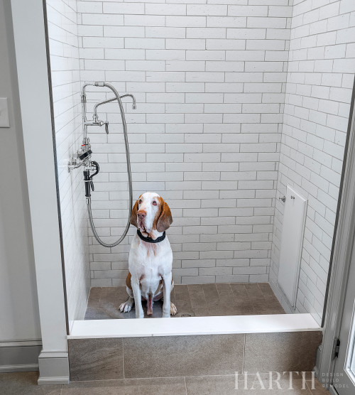Dog in dog shower with white subway tile and a low hose for wasing