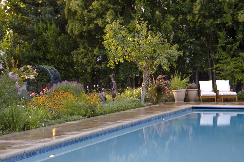 Design ideas for a traditional rectangular pool in San Francisco.