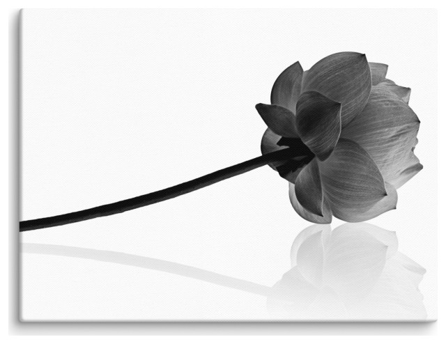 Black And White Flower Canvas Wall Art Resting Lotus Floral Photo, 12 ...