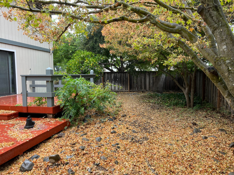 Morgan Hill Mordern Landscape