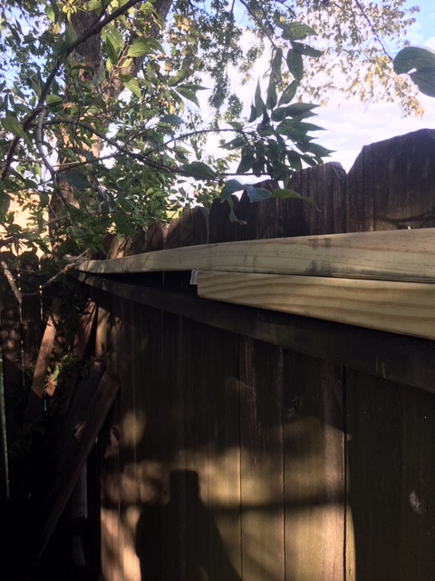 Reinforced Repaired Wood Fence