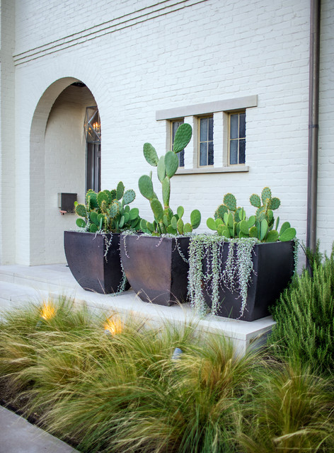 Cactus and Succulent Containers Are Ideal for Hot, Sunny Spots