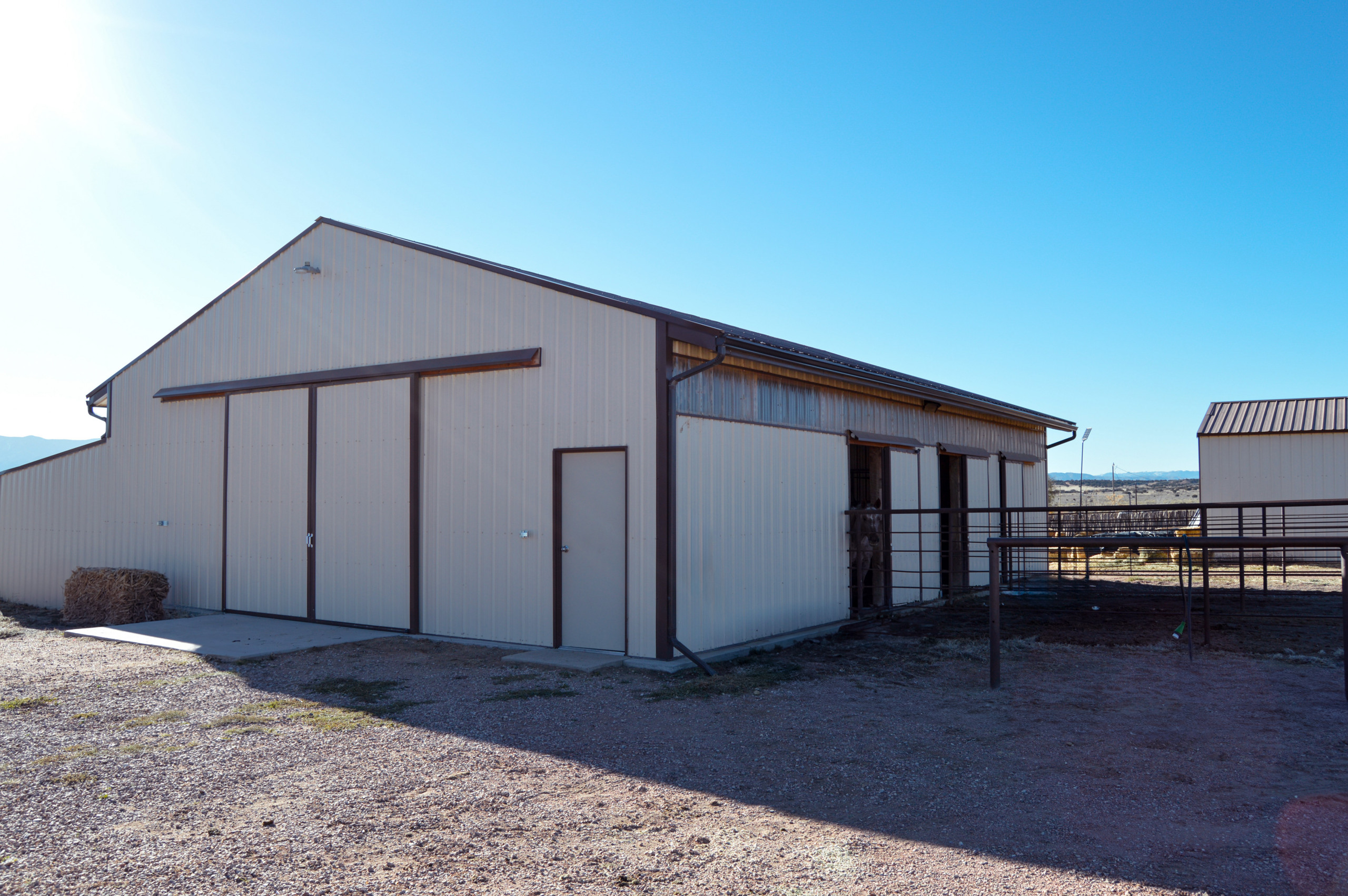 Safe Haven for Horses