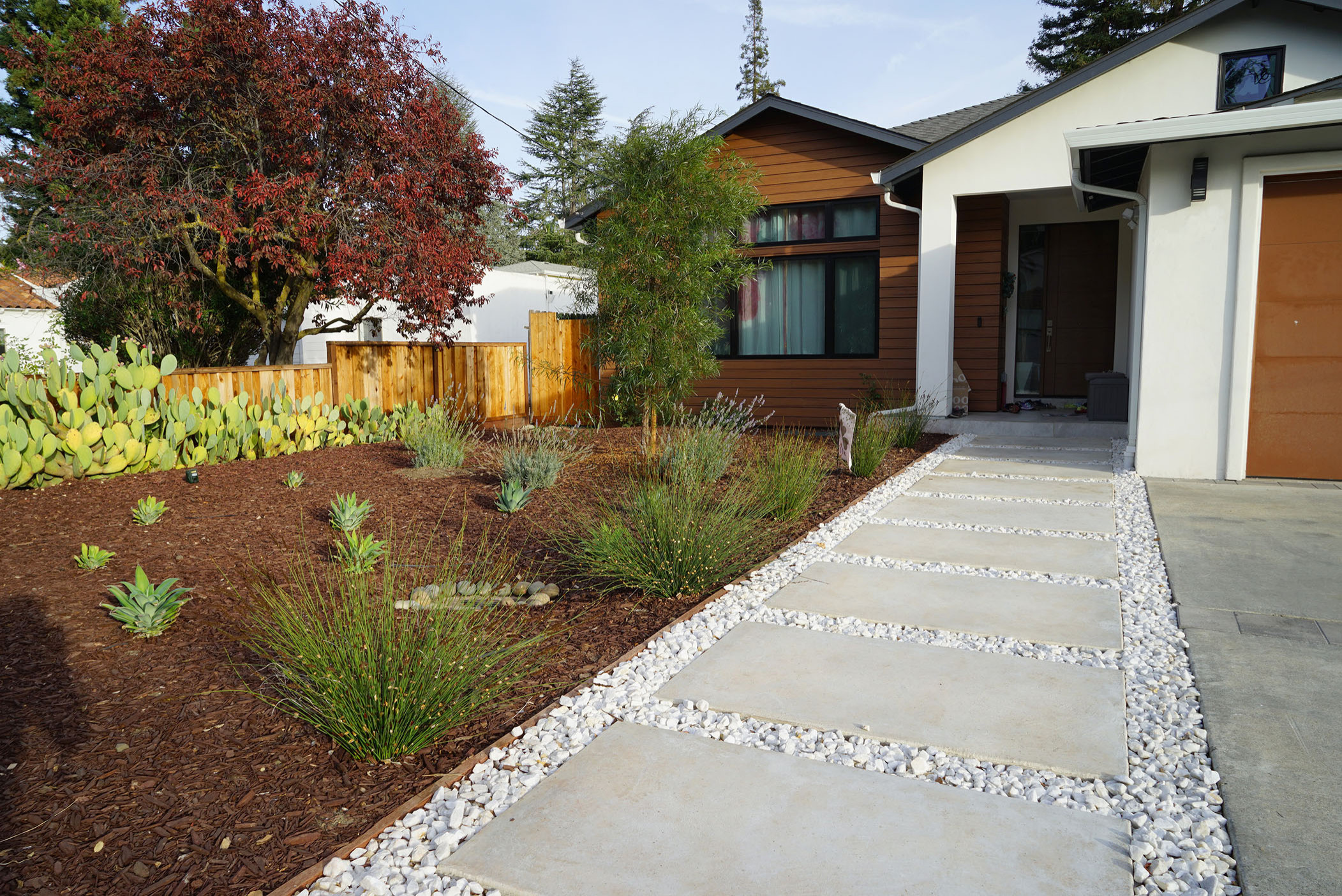Entry Xeriscape Garden Design