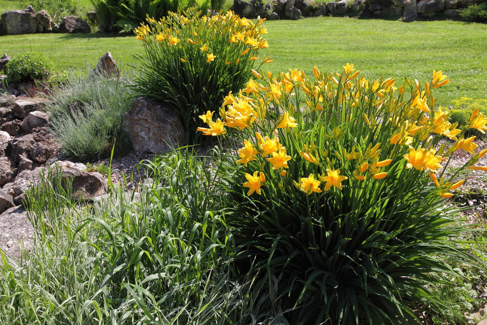 Ландшафтный дизайн