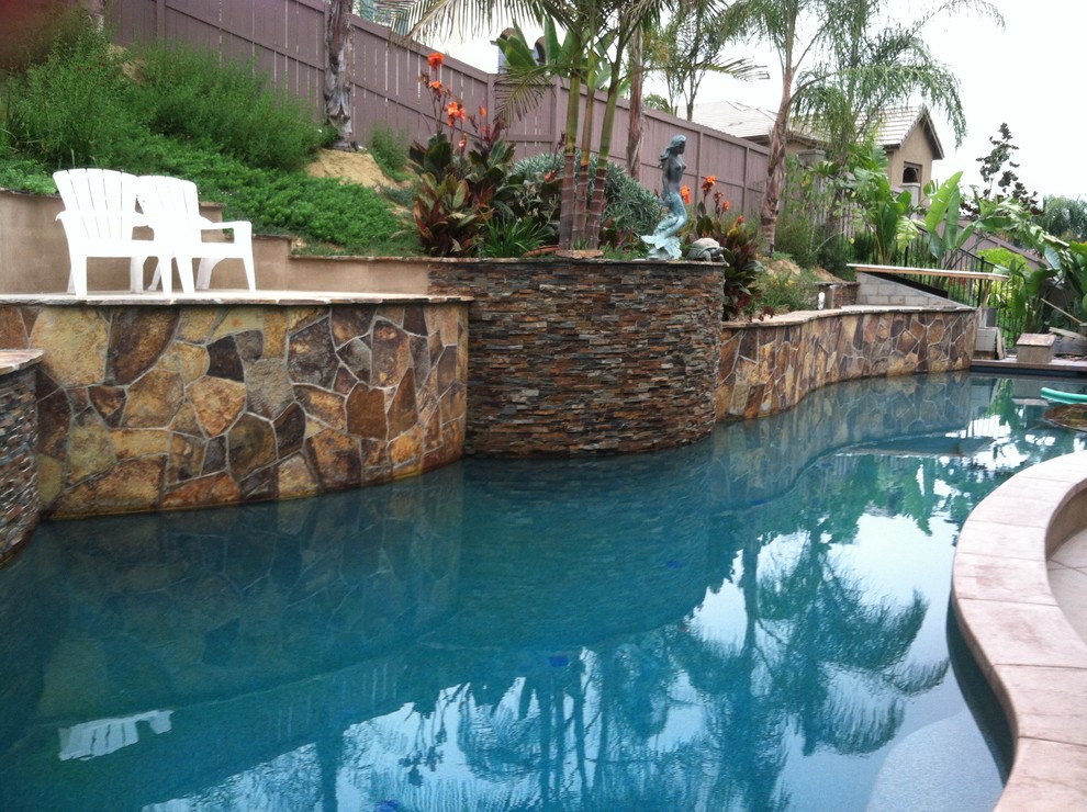 Inspiration for a tropical pool in San Diego.