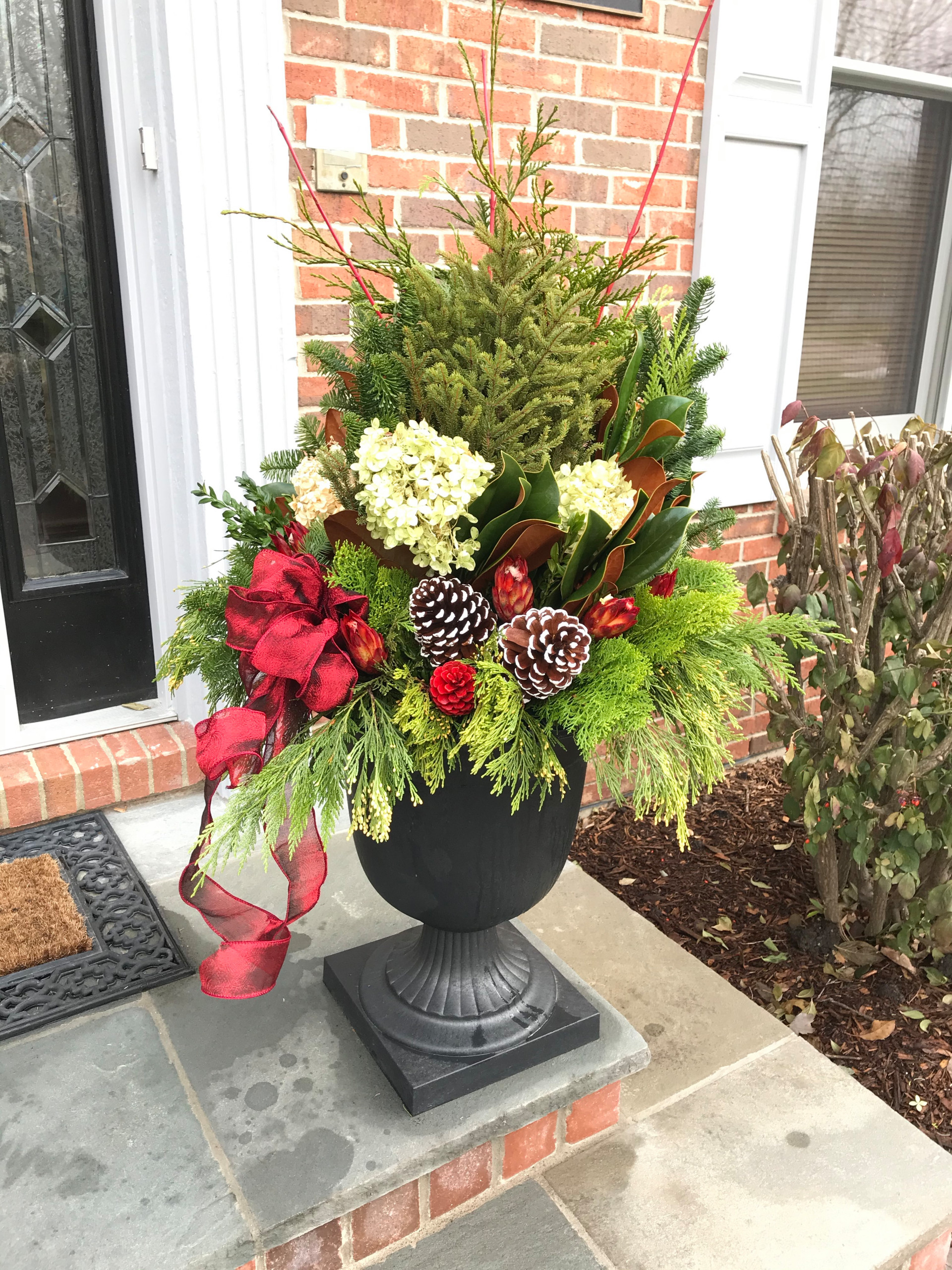 Winter containers and Holiday Decorations