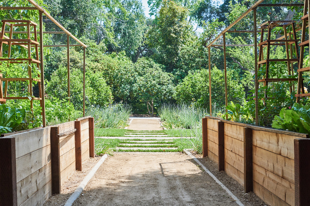 This is an example of a transitional garden in Los Angeles with a wood fence.