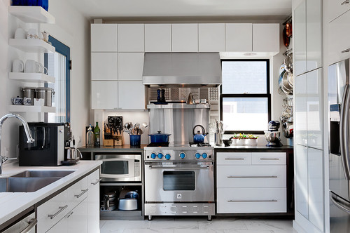 BlueStar contemporary kitchen