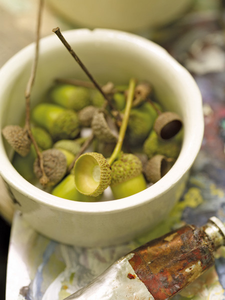 Woodland от Sanderson