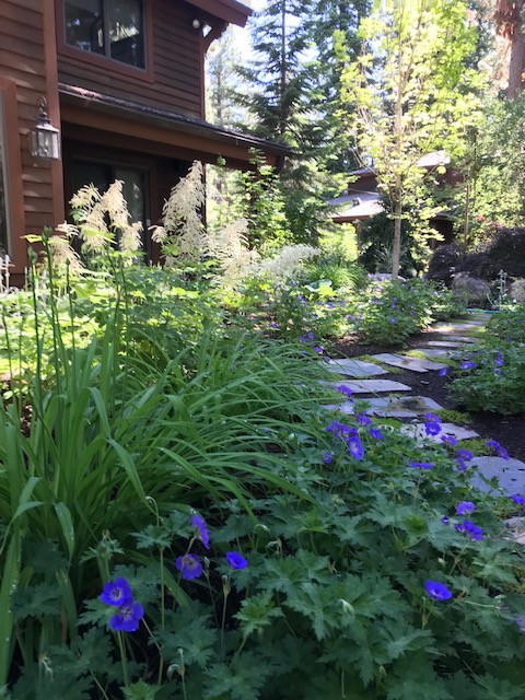 Lake Tahoe Landscape Designs