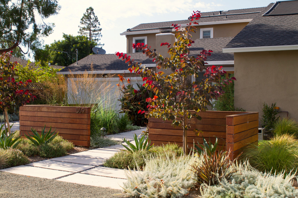 Esempio di un giardino xeriscape minimalista esposto in pieno sole di medie dimensioni e davanti casa con un ingresso o sentiero, pavimentazioni in cemento e recinzione in legno