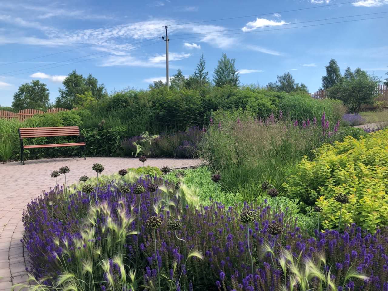 Якшино. Осень 2019