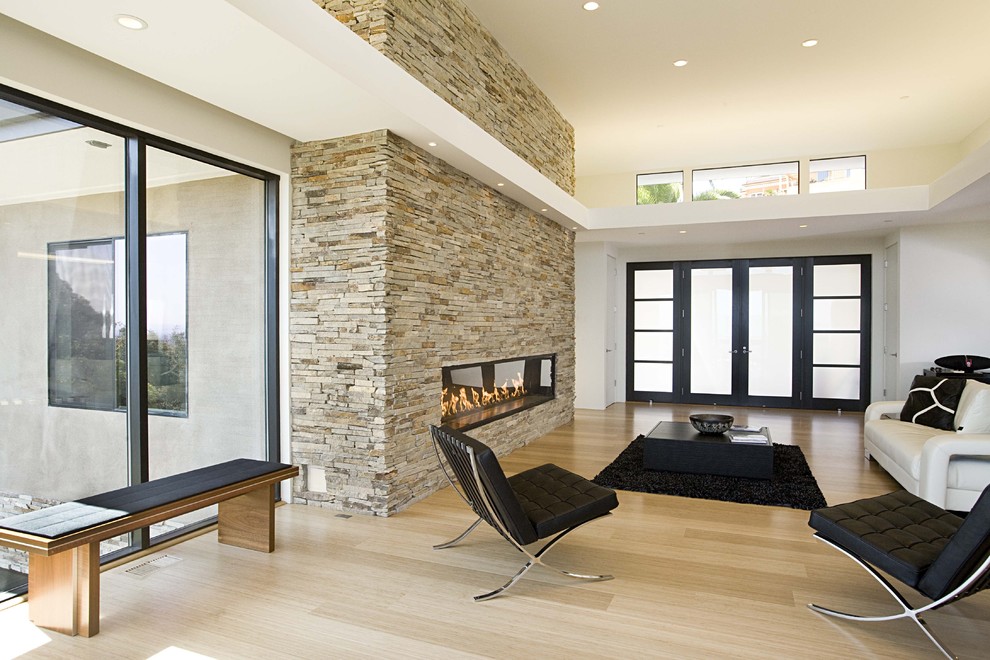 Photo of a contemporary living room in San Francisco with bamboo floors.