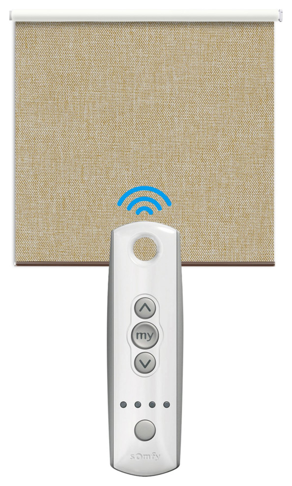 Springblinds SOMFY Motorized 100 Blackout Roller Shade, 41"x72" Contemporary Roller Shades