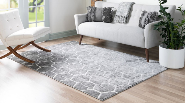 Contemporary Kashi Area Rug, 4'x6' - Contemporary - Area Rugs - by ...
