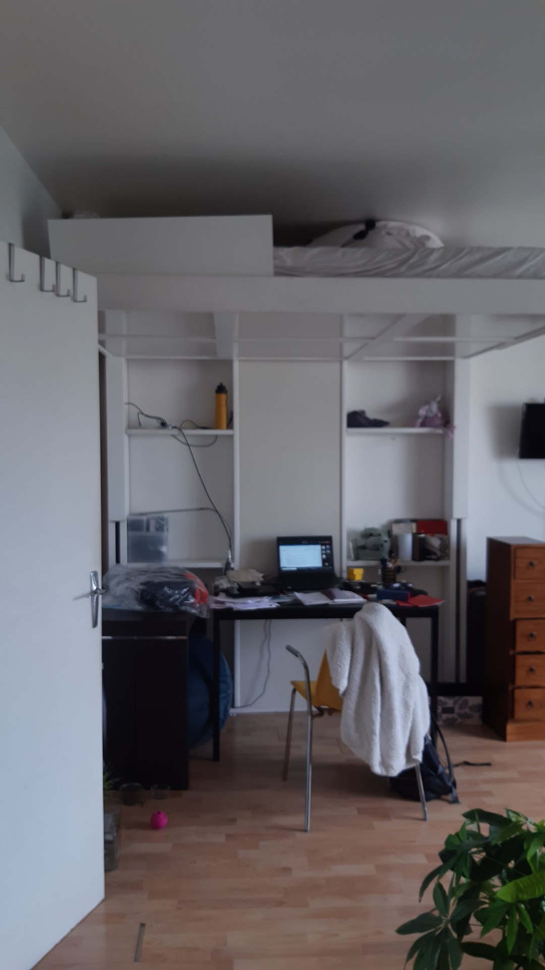Rénovation totale d'un studio de 29m²