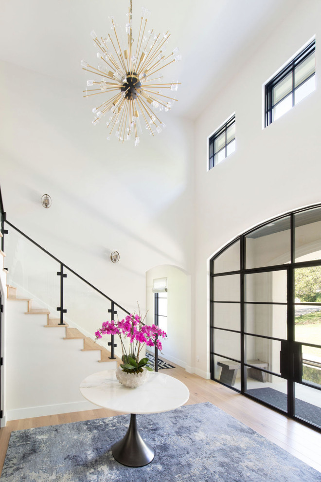 Foyer - large transitional light wood floor foyer idea in Austin with white walls and a black front door