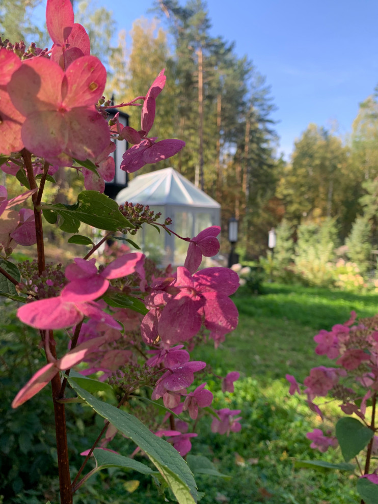 Таргайские усадьбы