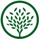 Green Landscape Solutions