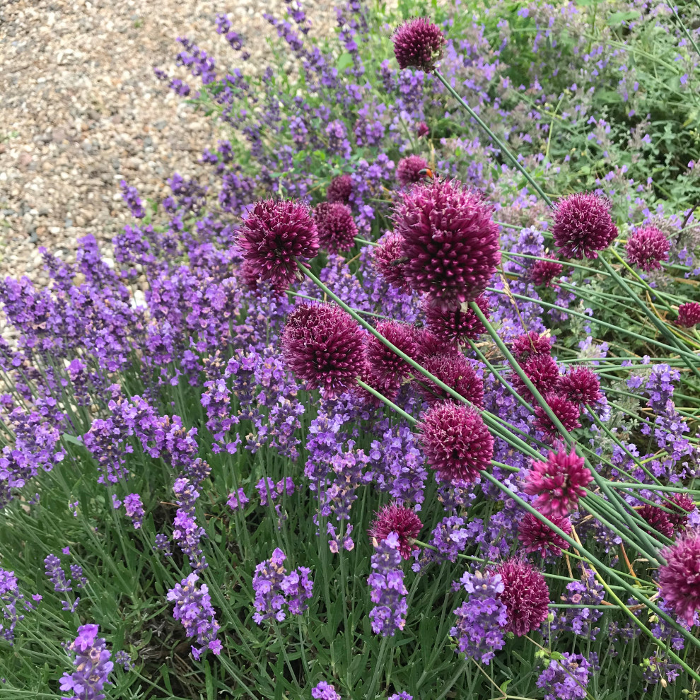 Сад на песках