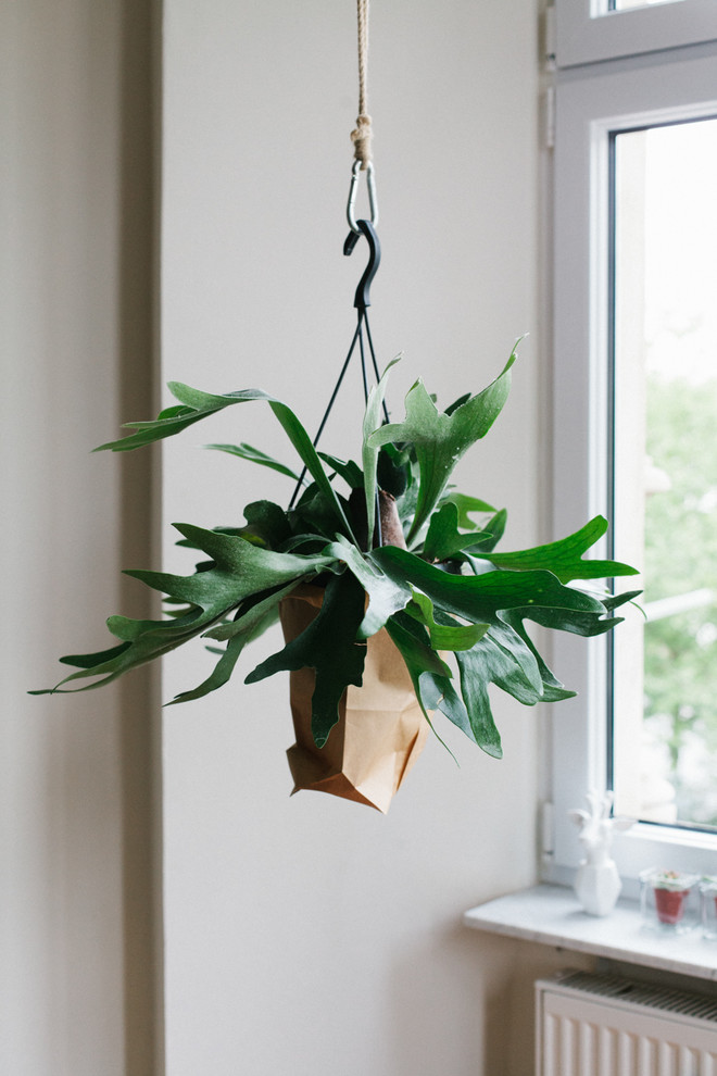 Stilmix Wohnzimmer in Berlin