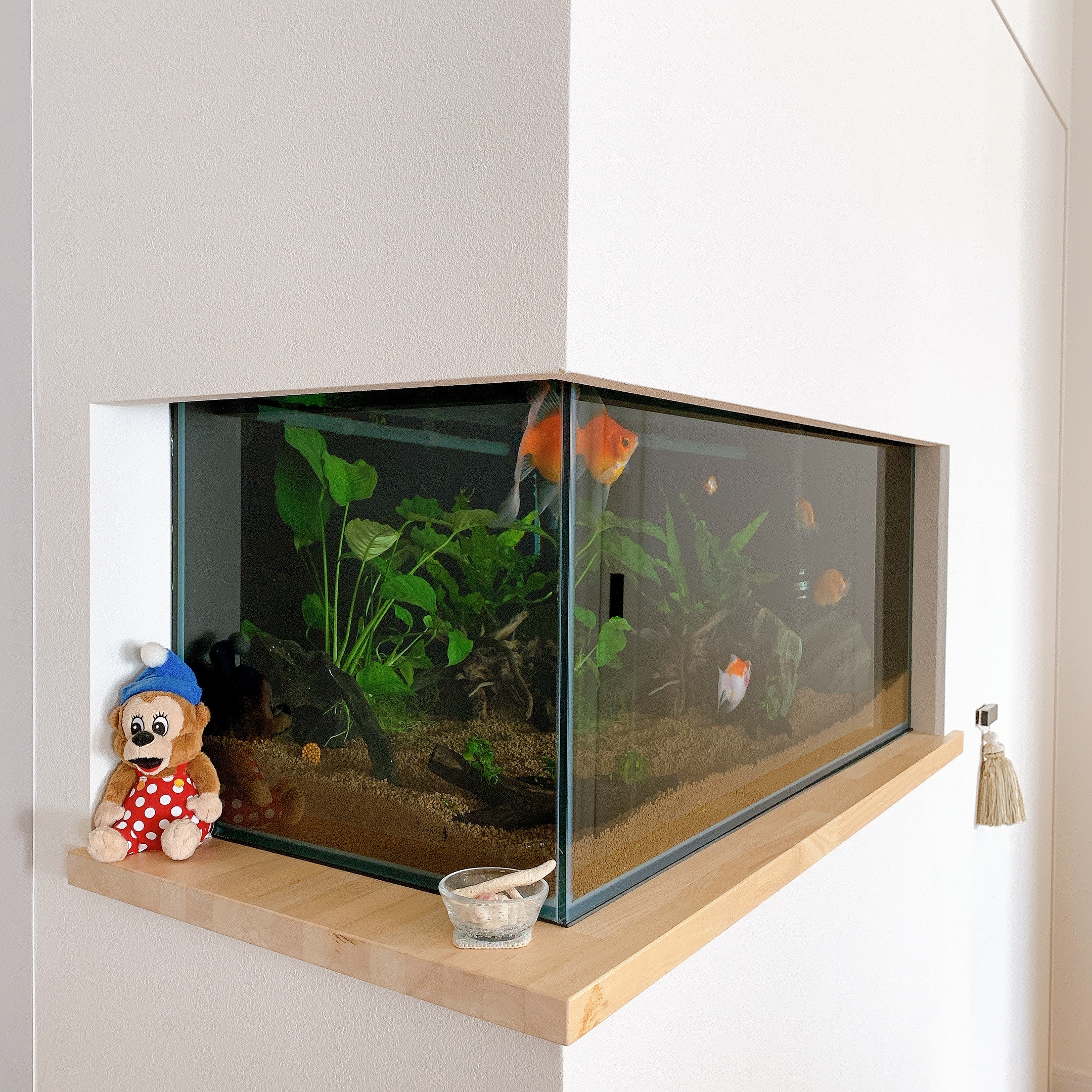 Home　Aquarium
