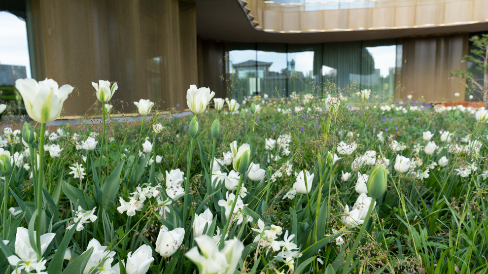 Природный сад. Жуковка XXI век. 2017-2018 гг.Arcadiagarden  xСад Аркадия  xArcad