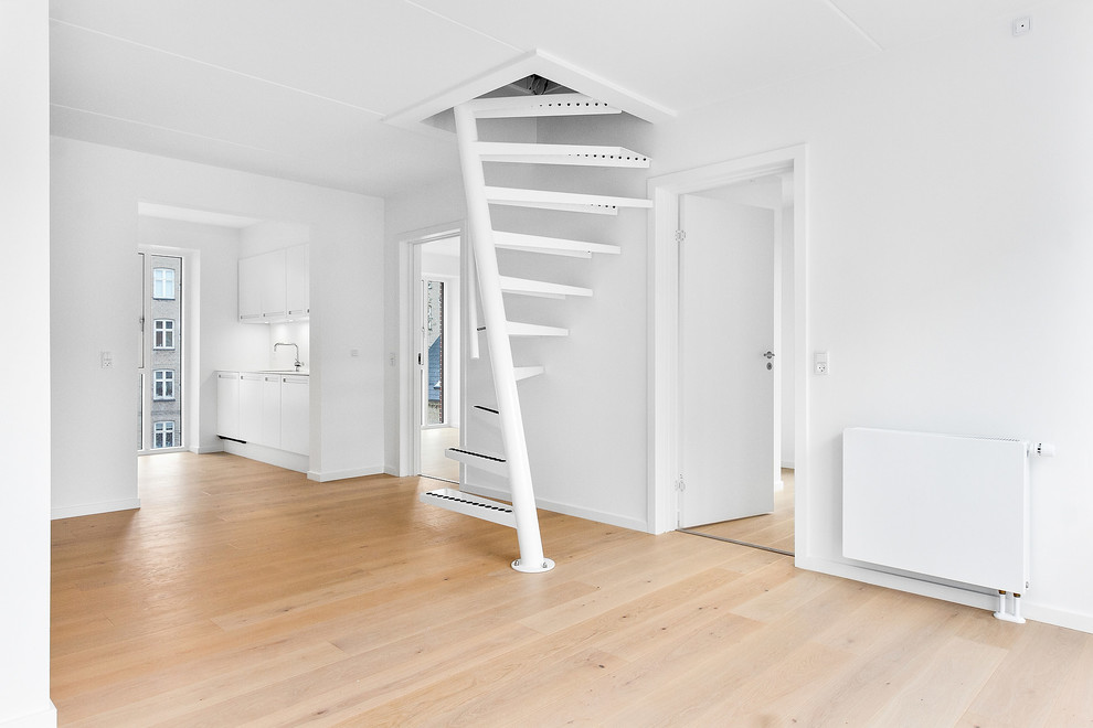 Design ideas for a scandinavian home design in Copenhagen.