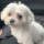 webuser_88684160