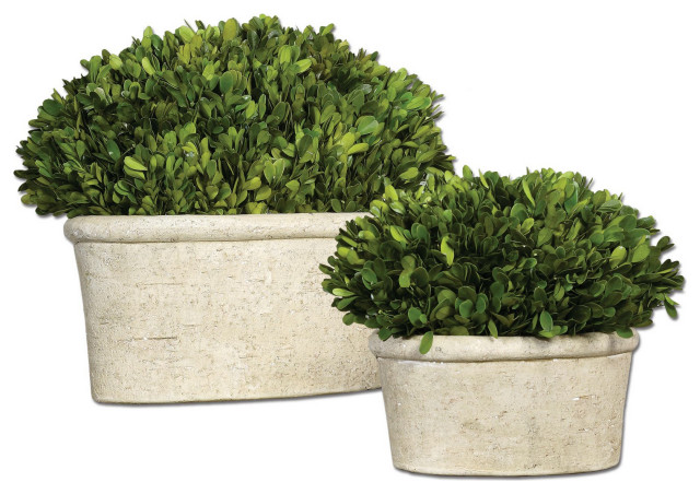 Uttermost Set of 2 Oval Domes Preserved Boxwood