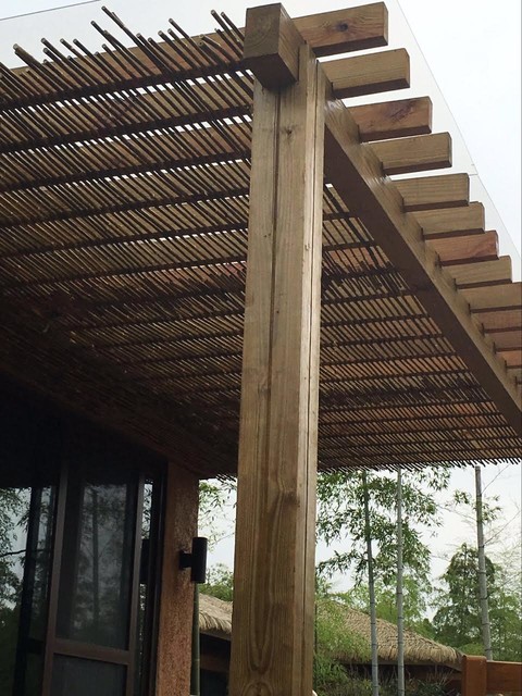 Bamboo Fencing Tropical San Diego By Backyard X Scapes Inc