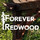 Forever Redwood