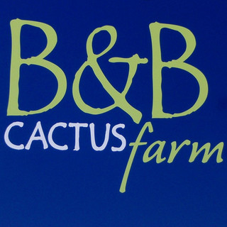 Cactus Farm - Tucson, AZ, US 85748