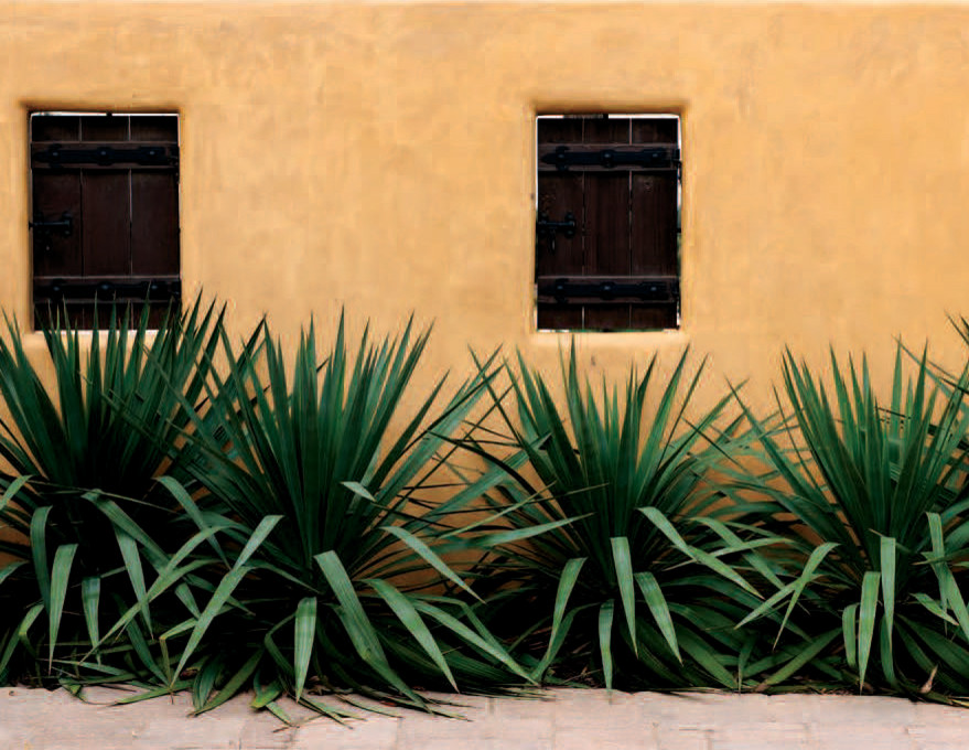 This is an example of a large mediterranean landscaping in San Diego.