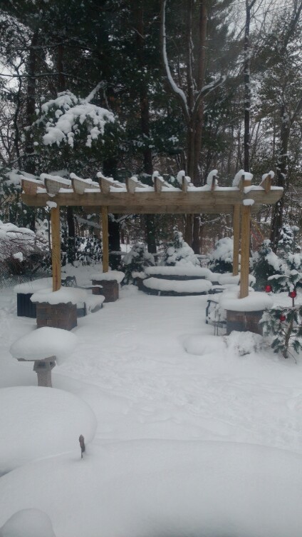 Pergola and patio area in winter