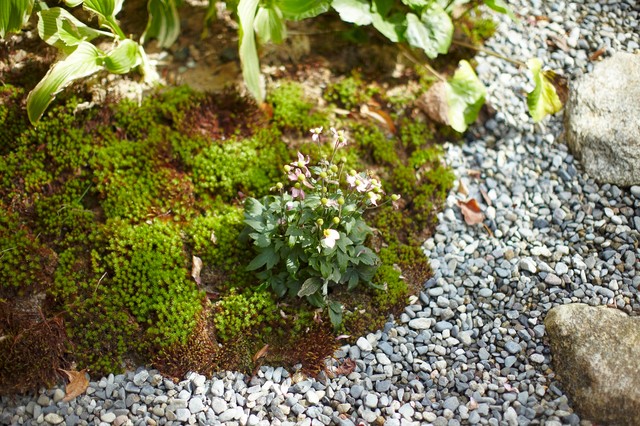 香住ケ丘の家 japones-jardin