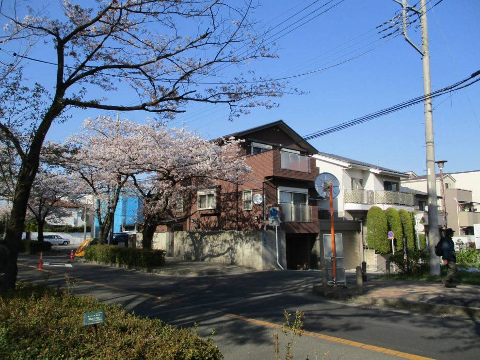 ⑲等々力緑地公園からの外観