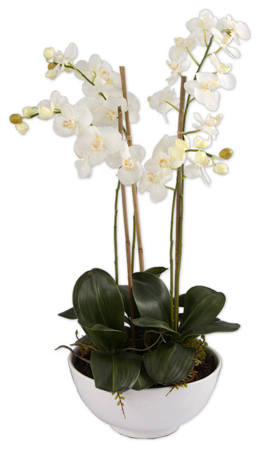 60036 Clair Blanc Orchid Planter by Uttermost - Modern - Indoor Pots ...