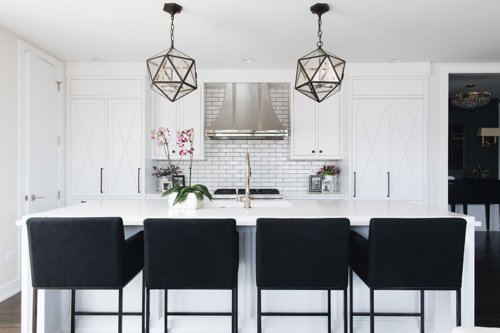 Transitional home design photo in Chicago