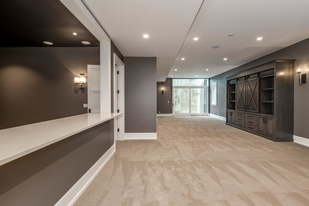 Example of a transitional basement design in Denver