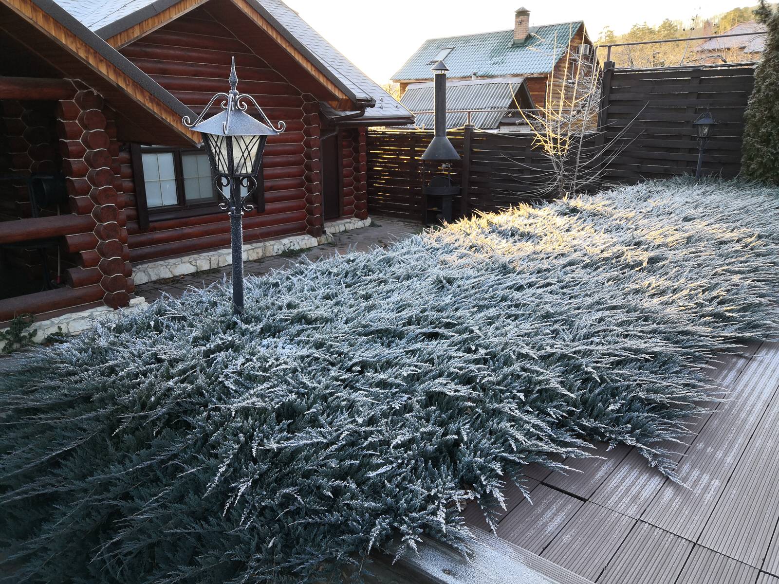 Среди Жигулевских гор