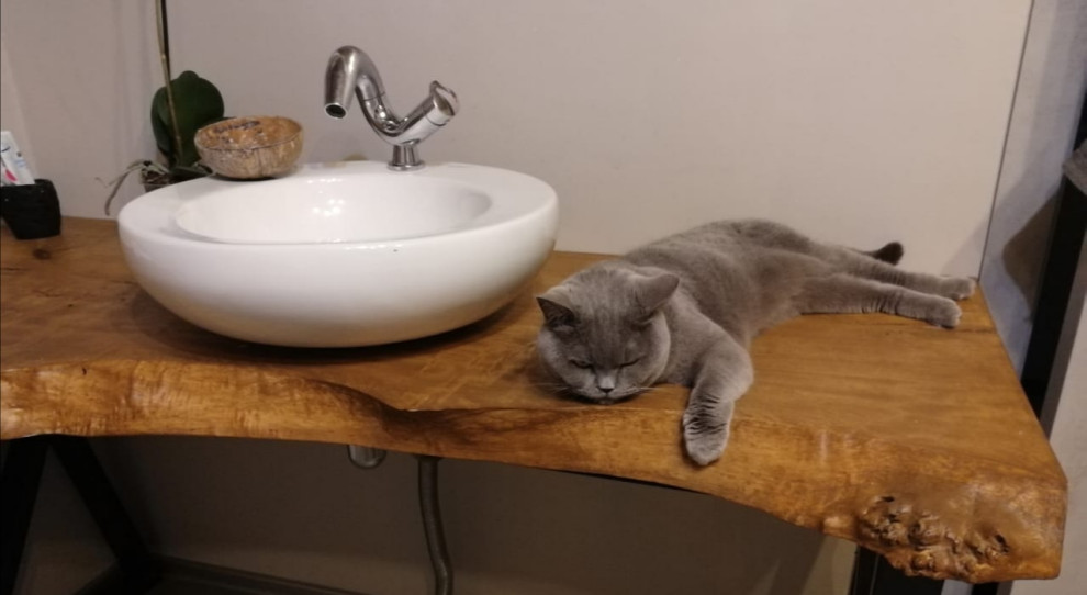 Ванная в эко стиле,  с элементами бамбука и трасника