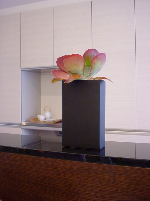 Plants.S minimalistisch-kueche