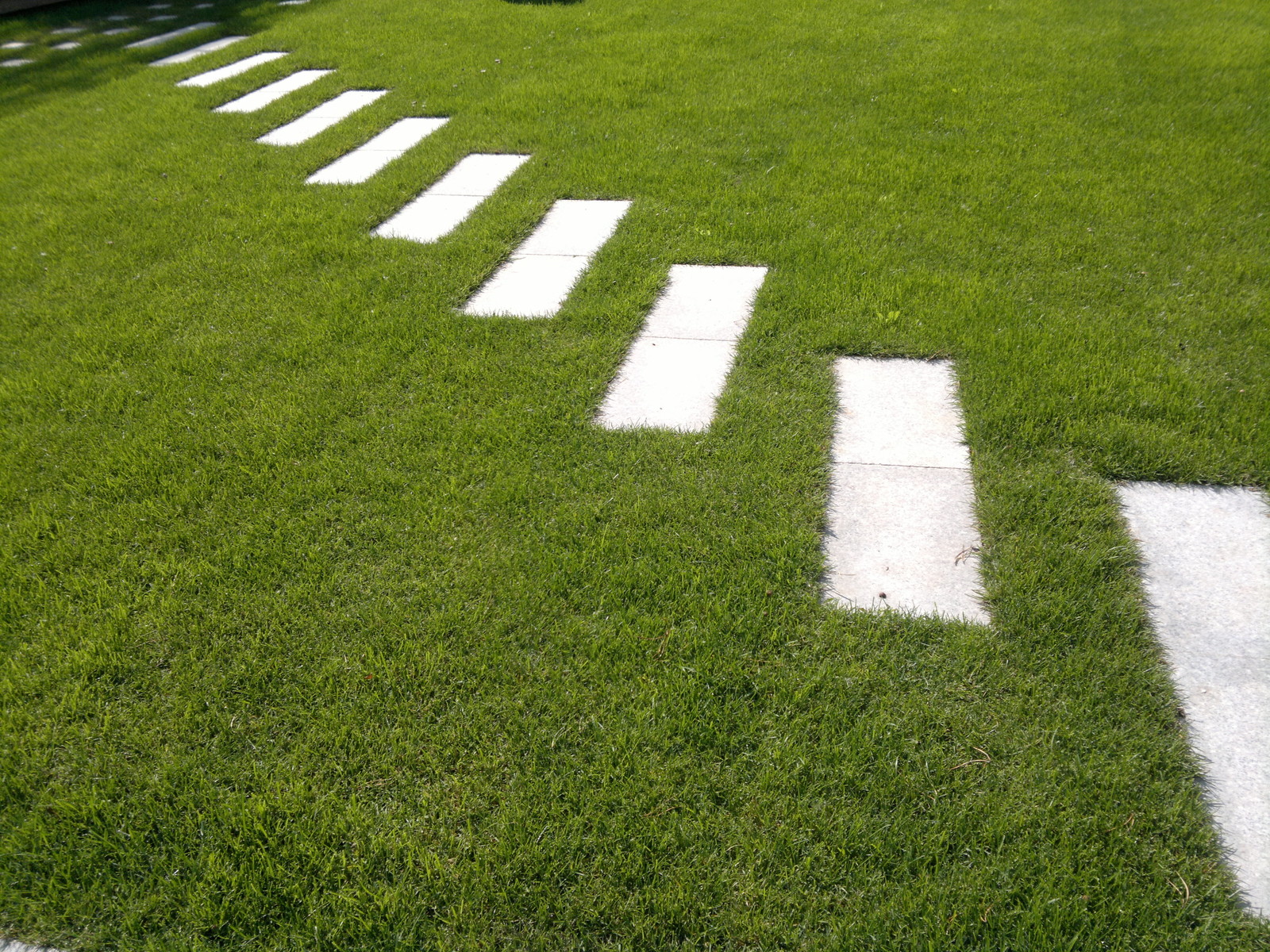 Благоустройство загородного участка Ландшафтный дизайн