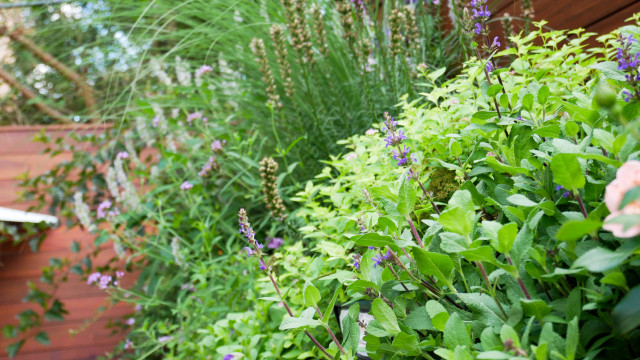 Greenpoint Secret Garden contemporary-garden