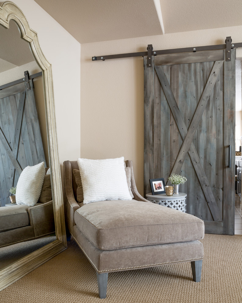 Barn Doors and Built-Ins