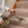 24 Carpet cleaning Los Angeles