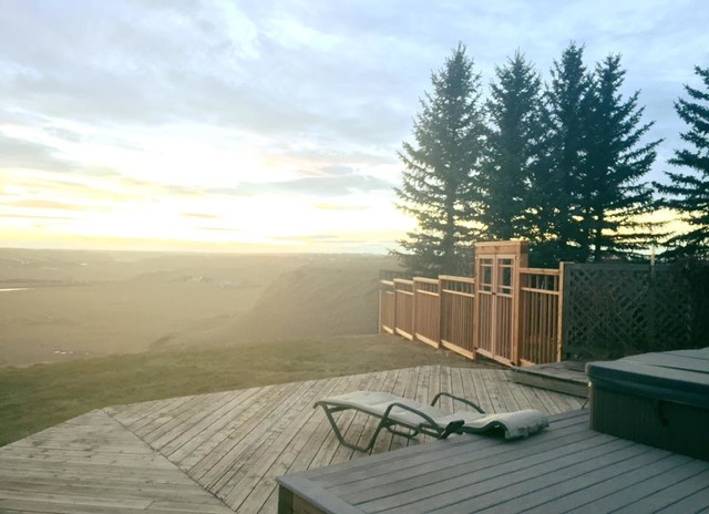 Cedar Fence contemporary-terrace